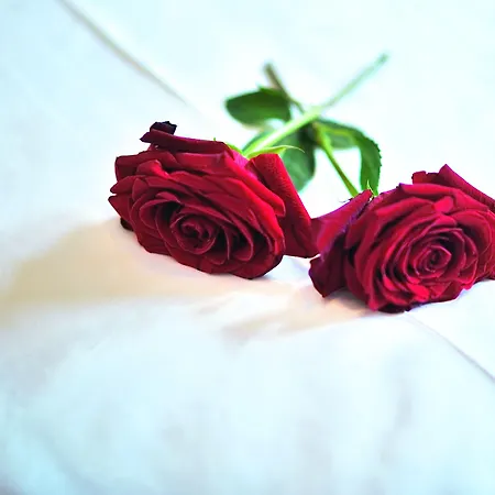 Bergquelle Отель