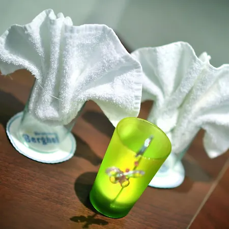 Bergquelle 3* Флахау