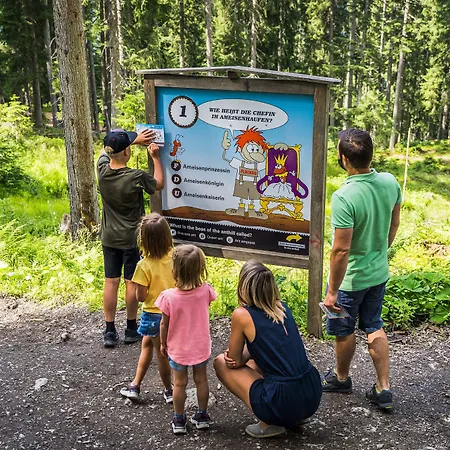 Bergquelle 3* Flachau